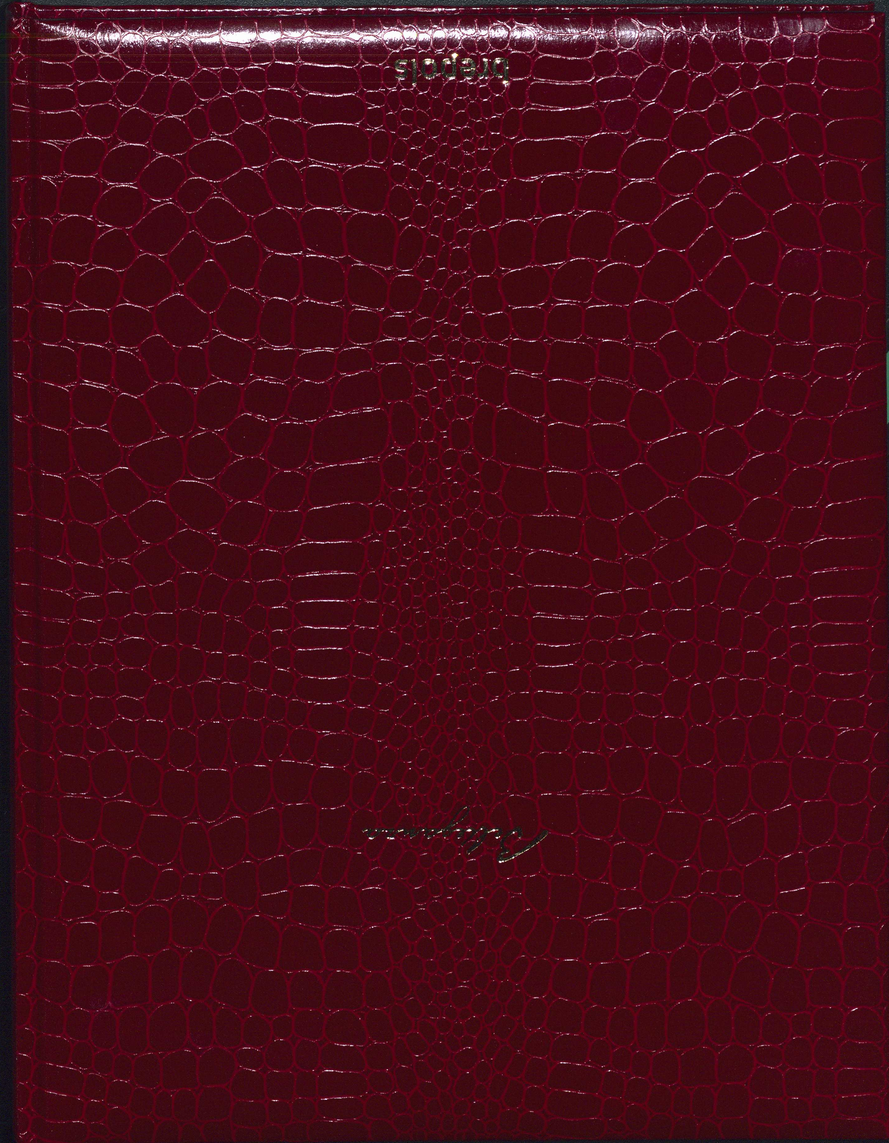 couverture registre simili cuir rouge